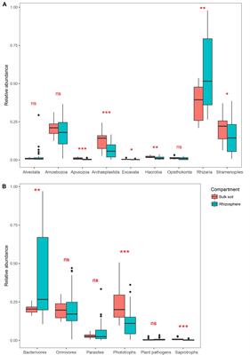 Taxonomic Compositions and Co-occurrence Relationships of Protists in Bulk Soil and Rhizosphere of Soybean Fields in Different Regions of China